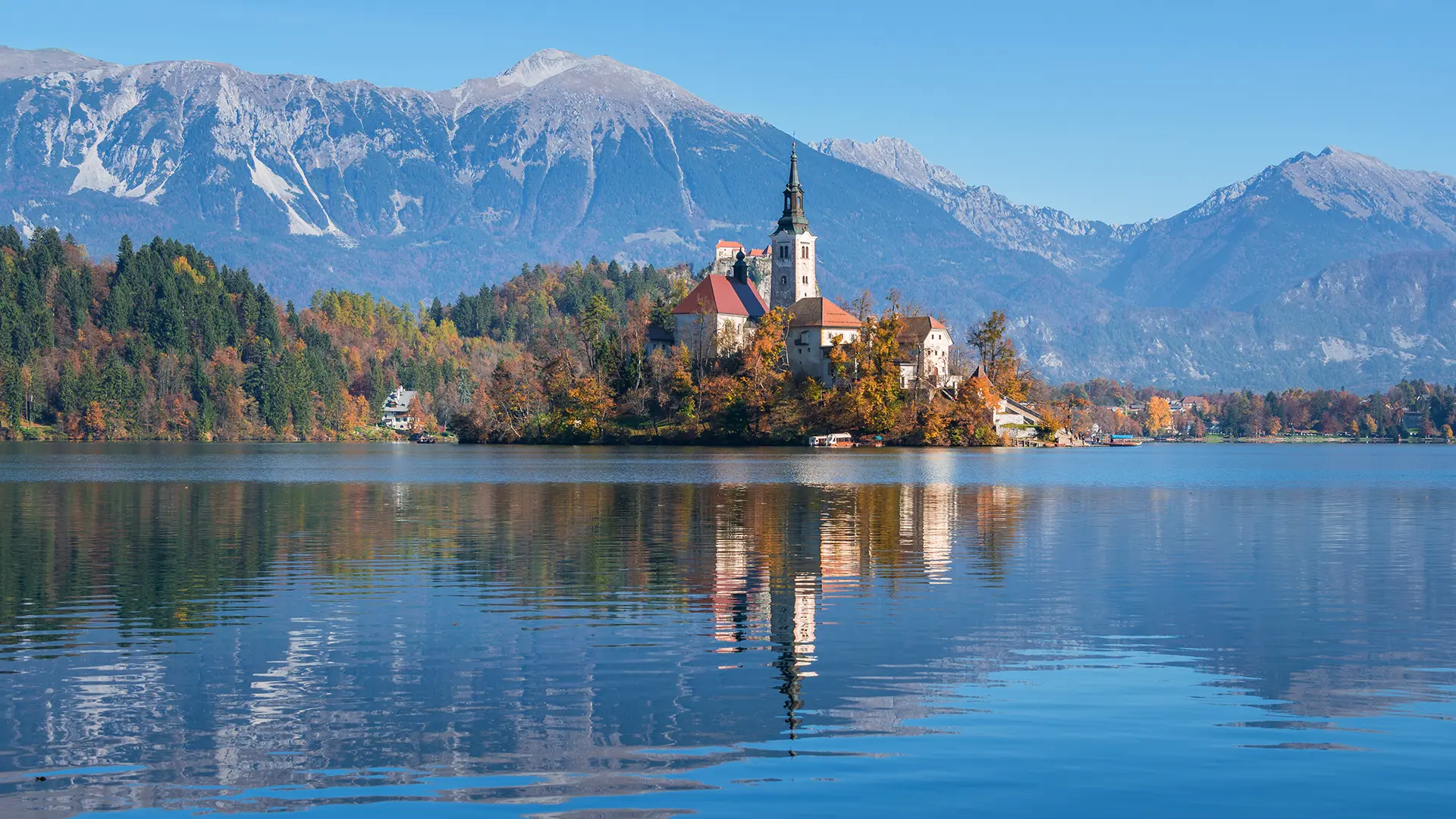 Bled Kombi prevoz od Beograda