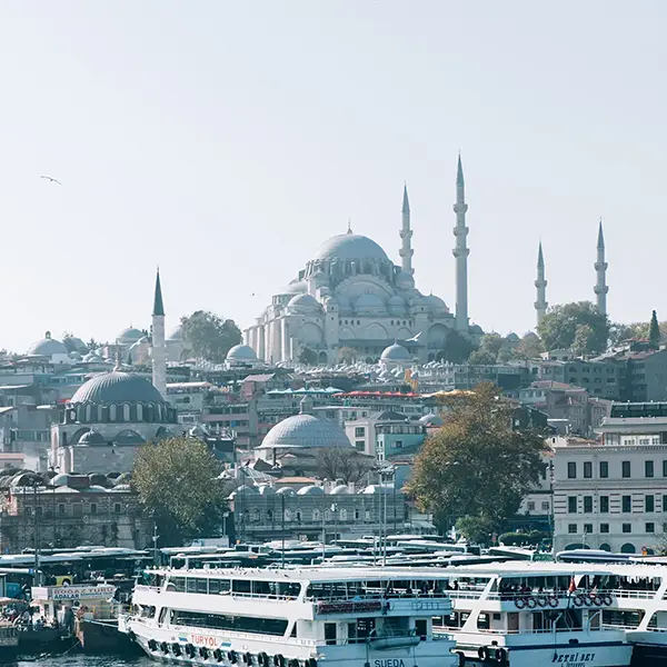 Dream Team Travel Kombi prevoz Istanbul Beograd