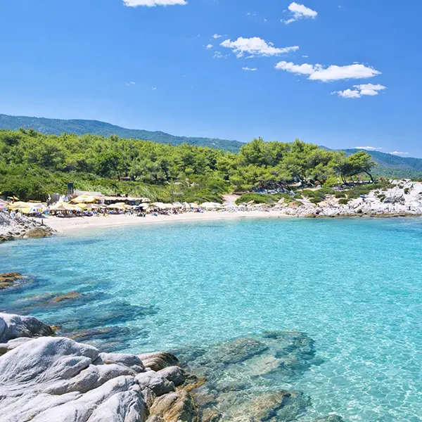 Dream Team Travel Kombi prevoz do Grcke