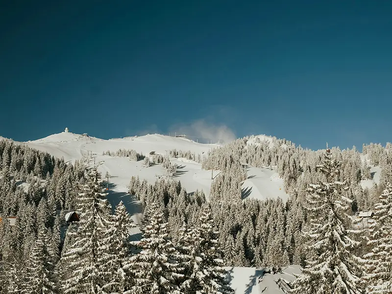 Jahorina