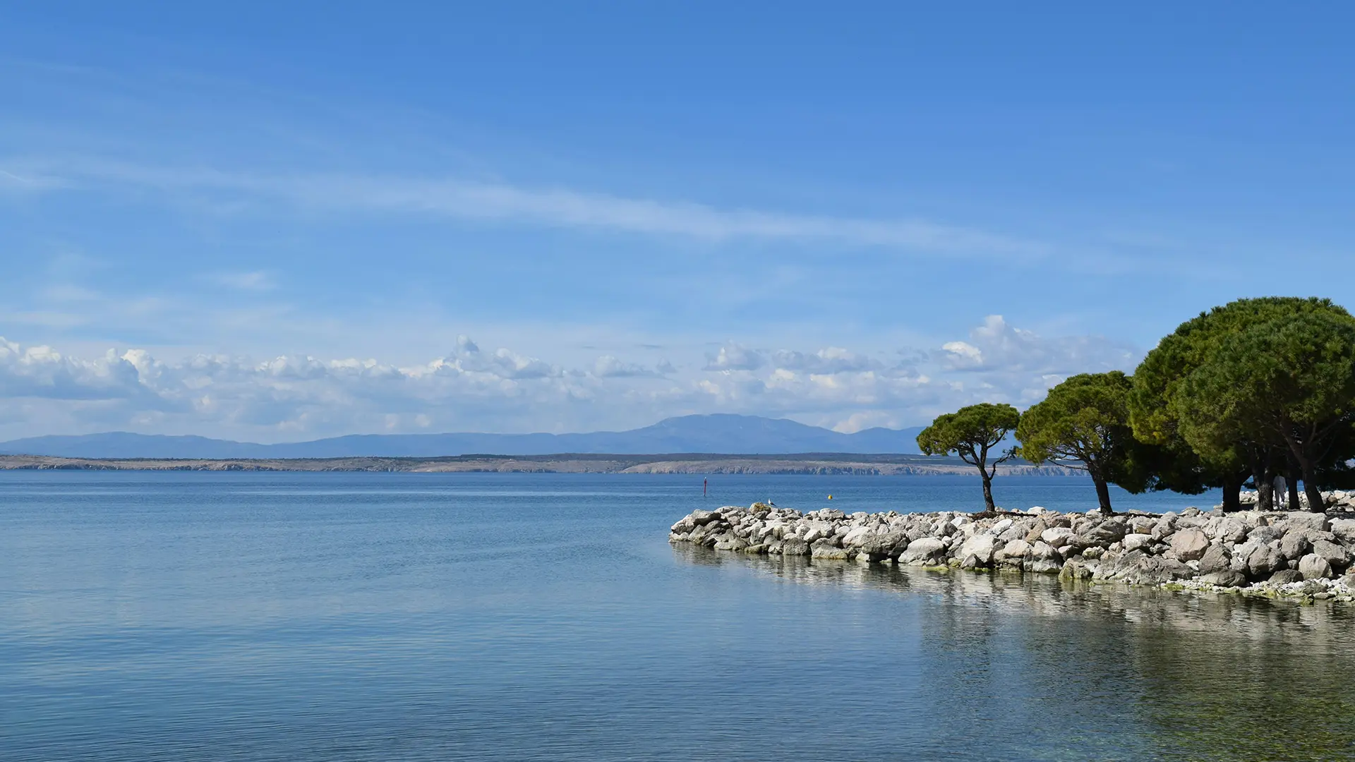 Kombi prevoz Crikvenica
